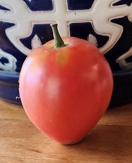 heier tomat by 2.jpg